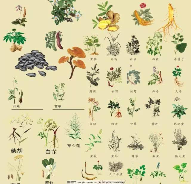 佛系骚年想要科学养生，这款日本的盐便是不可或缺的滋养佳品