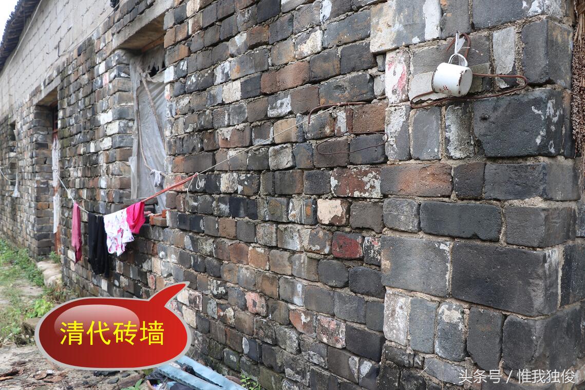 随州太白顶风景区简介视频,发现之旅神农架野人之谜