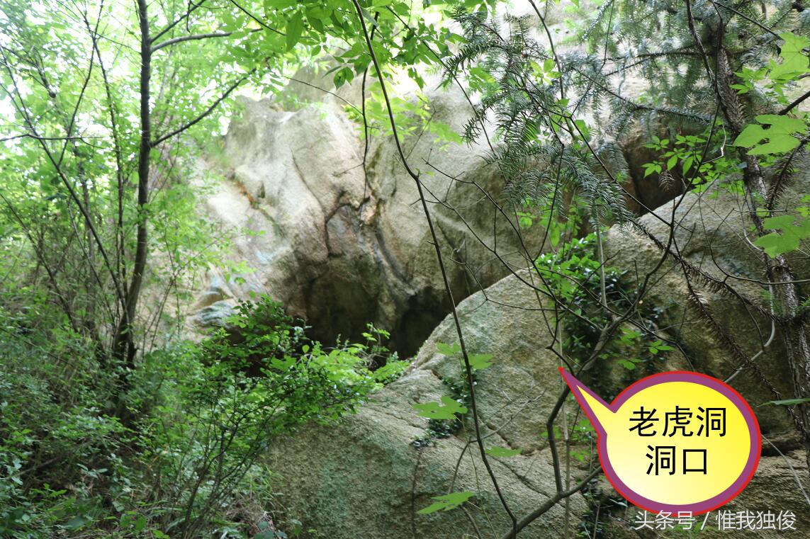 随州太白顶风景区简介视频,发现之旅神农架野人之谜