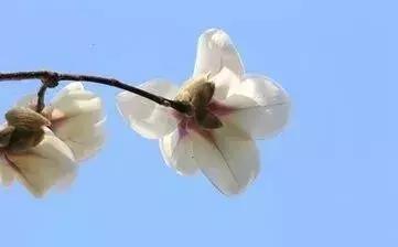 考不上高中南京什么学校最合适,高考400分可以上南京哪些大学