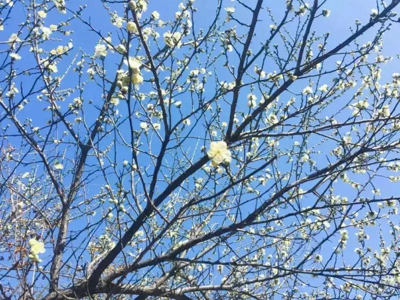 考不上高中南京什么学校最合适,高考400分可以上南京哪些大学