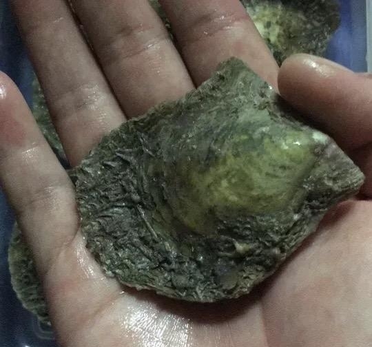 灯下不看玉的上一句,灯下不看玉是什么意思