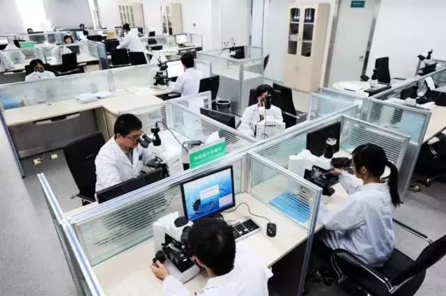 企业｜这家光谷企业包下3500家医院特检，特检项目数达全国首位