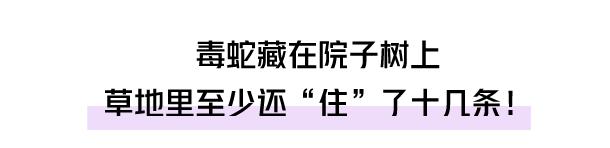 自己家的别墅里会有蛇吗,自家别墅花园有蛇什么原因