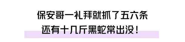 自己家的别墅里会有蛇吗,自家别墅花园有蛇什么原因