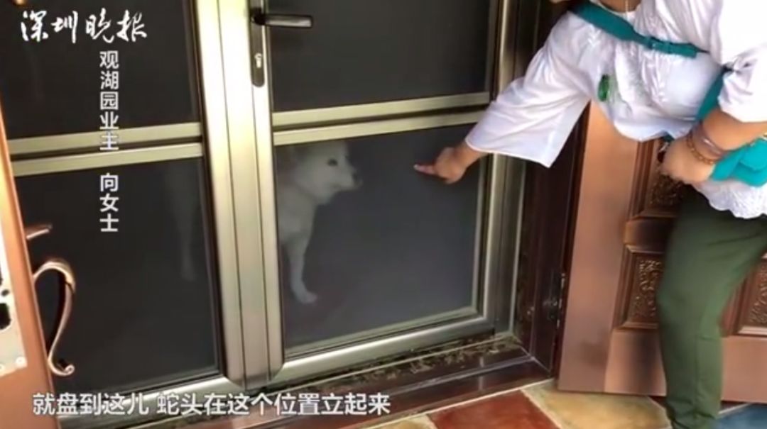 自己家的别墅里会有蛇吗,自家别墅花园有蛇什么原因