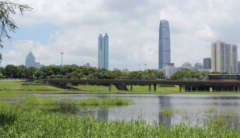 自己家的别墅里会有蛇吗,自家别墅花园有蛇什么原因