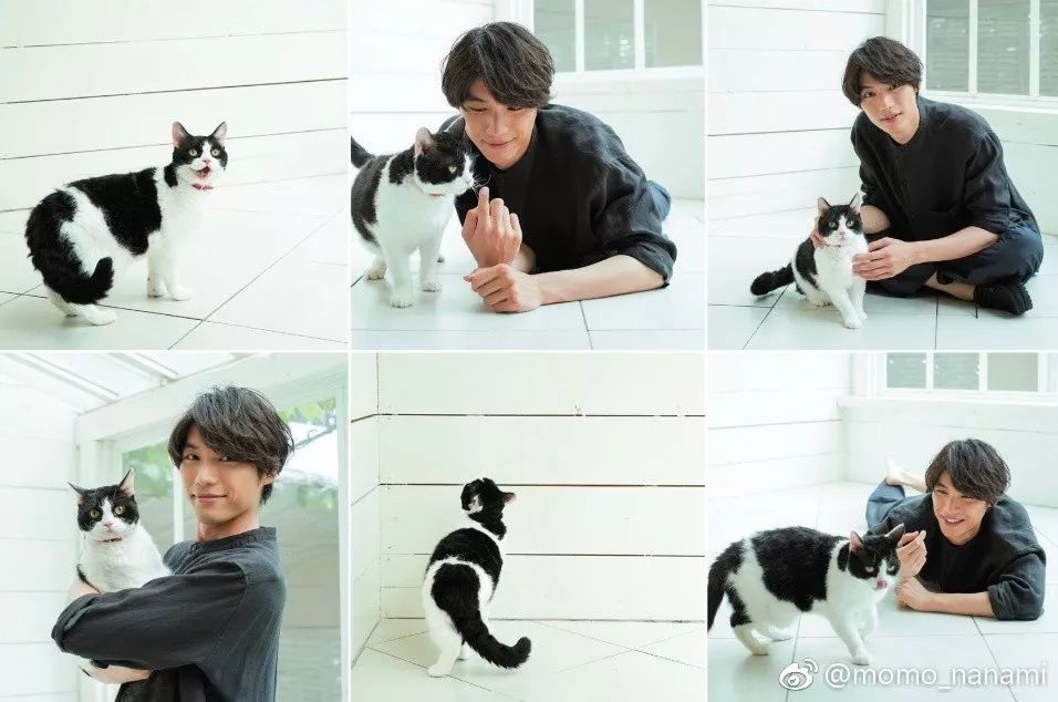 男生学院风穿搭攻略,万能穿搭攻略男生31到40