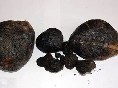 最完整的禁毒品法规是什么,国家禁毒办权威发布毒品基础知识