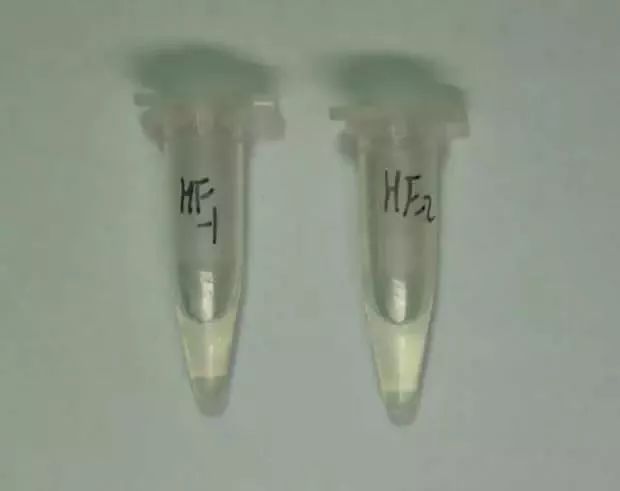 最完整的禁毒品法规是什么,国家禁毒办权威发布毒品基础知识