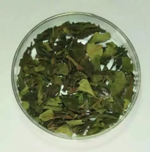 最完整的禁毒品法规是什么,国家禁毒办权威发布毒品基础知识