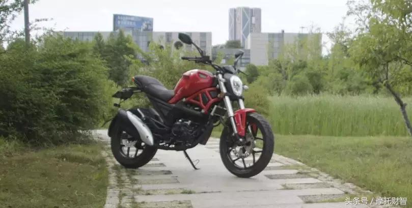 银钢小怪兽150和250对比,银钢大怪兽250