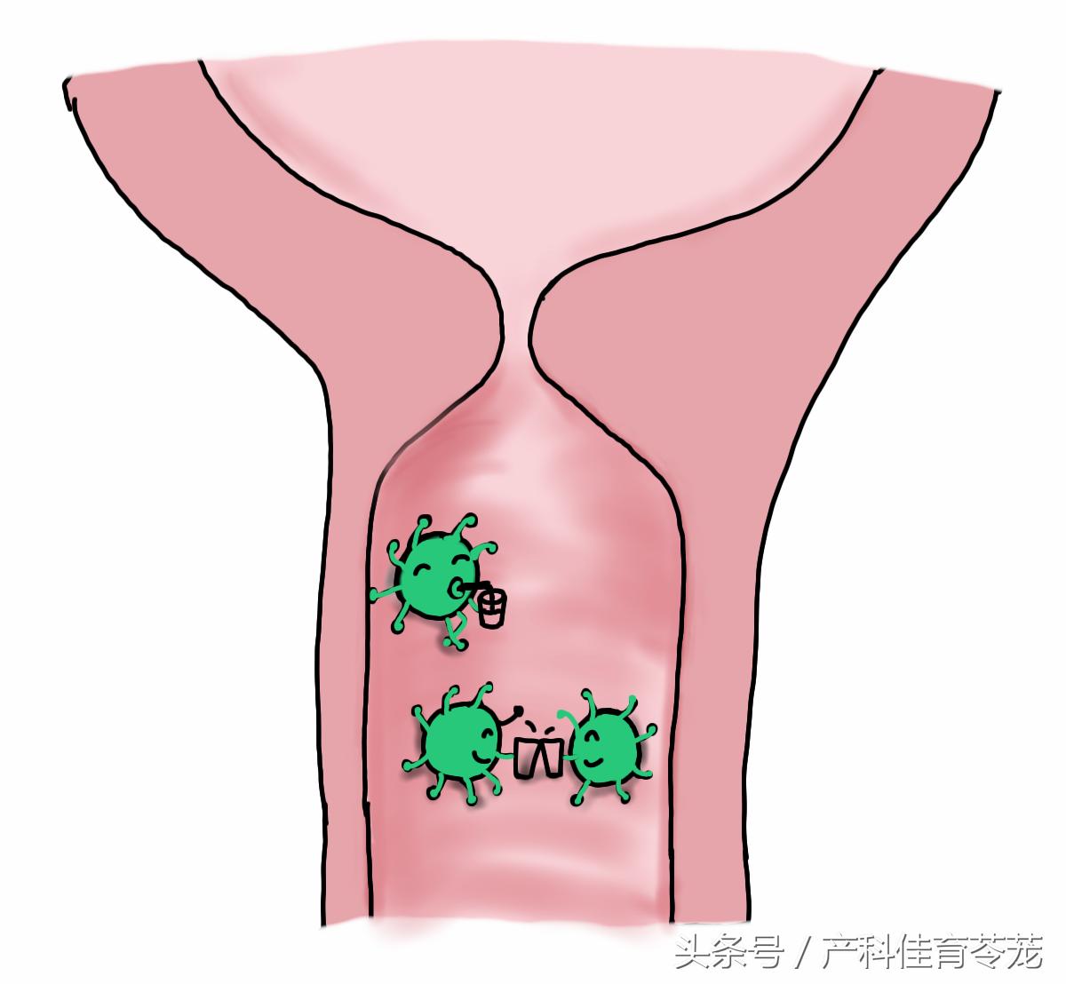 得过支原体是否容易再犯,针对支原体的药