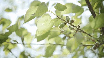 广州天河网红店高颜值店,广州品城区网红店