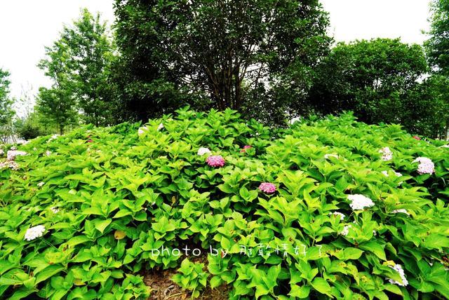 安徽小众旅行地,安徽冬日小众旅游