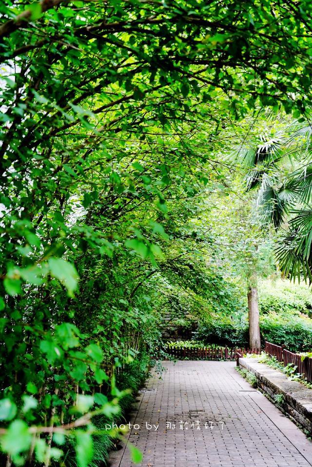 安徽小众旅行地,安徽冬日小众旅游