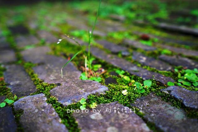 安徽小众旅行地,安徽冬日小众旅游