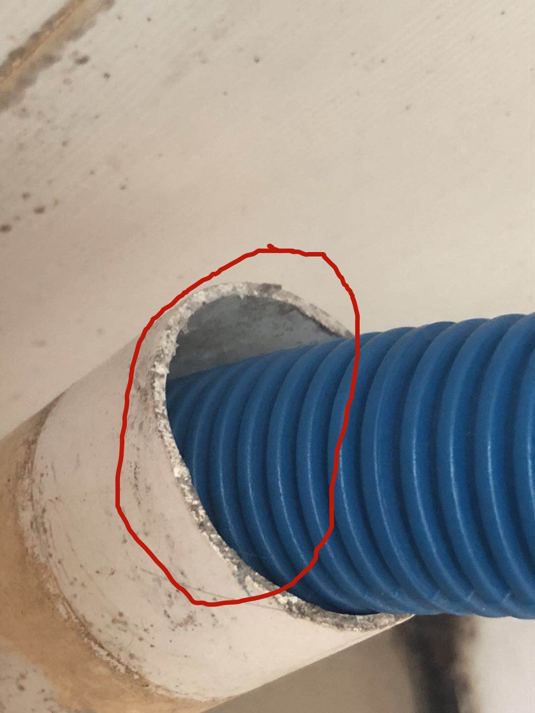 怎样防老鼠进家,咋样防止老鼠进入我家