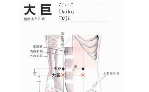 中医穴位埋线减肥疗法,中医减肥针灸穴位