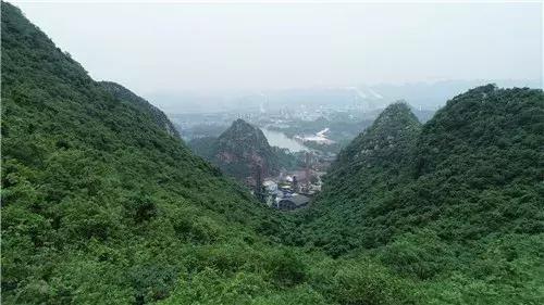 我为家乡代言坡头,我为家乡农产品代言苹果