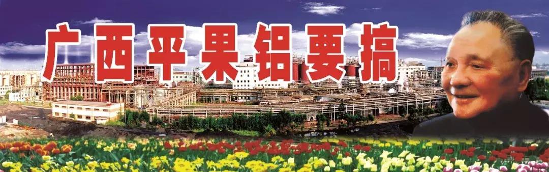 我为家乡代言坡头,我为家乡农产品代言苹果