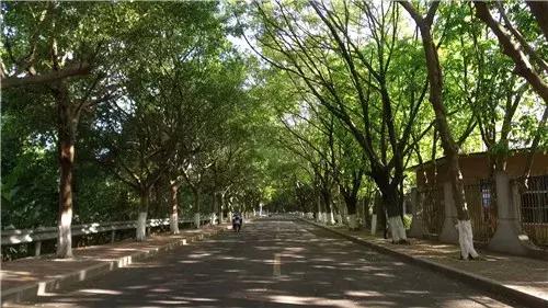 我为家乡代言坡头,我为家乡农产品代言苹果