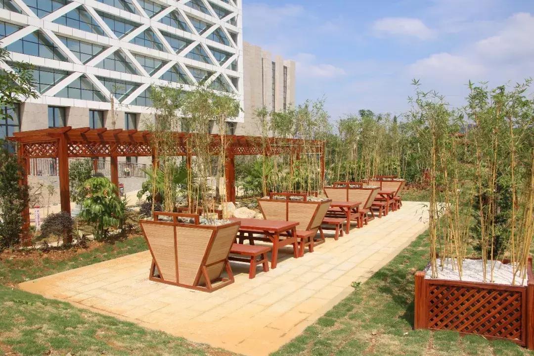 我为家乡代言坡头,我为家乡农产品代言苹果