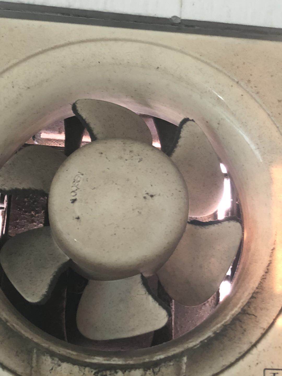 怎样防老鼠进家,咋样防止老鼠进入我家