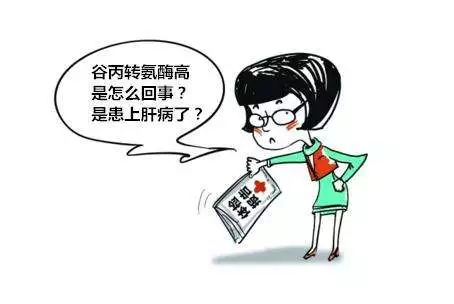 谷丙转氨酶41需要注意哪些,健康人转氨酶高代表什么