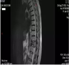 拿什么拯救你渐逝的青春,拿什么拯救你原版视频