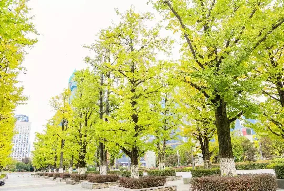 从无人区到无人区,从无人区归来的感受