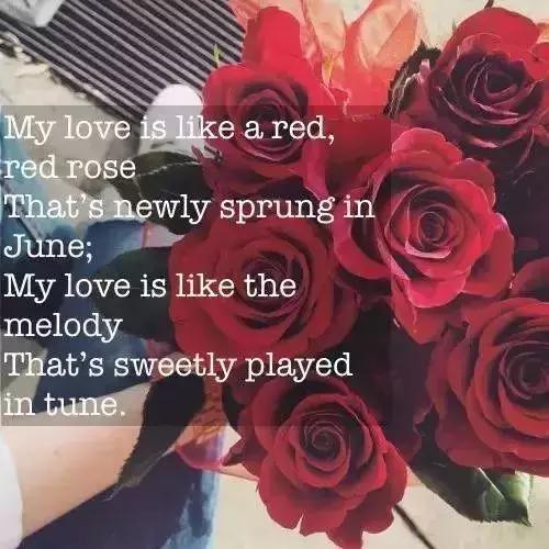 史上最伟大的10首英语爱情诗，诠释爱情最美的样子！