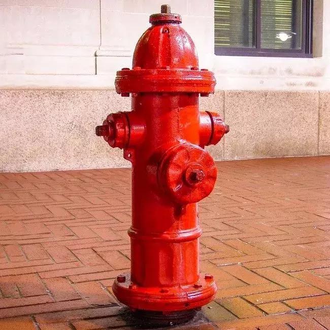 哈利波特全球十大冷知识,全球十大旅游冷知识