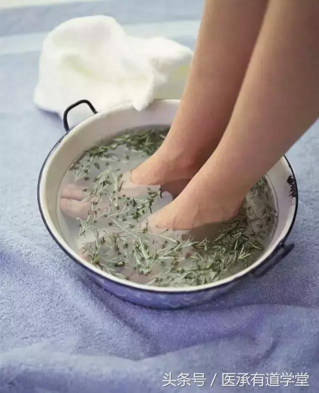 艾草这样用才是对人体最大的帮助,艾草最正确最有效的用法是什么