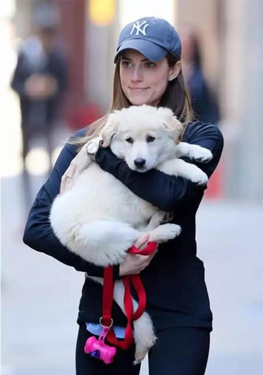 夏天到了选对好的防晒霜也很重要 (夏天必不可少的防晒霜)