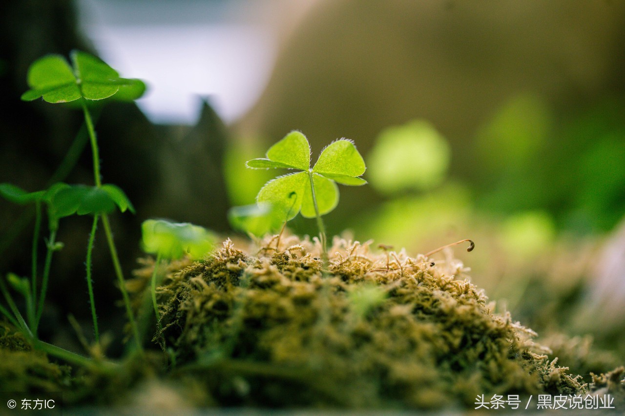 为什么一定要做互联网生意?