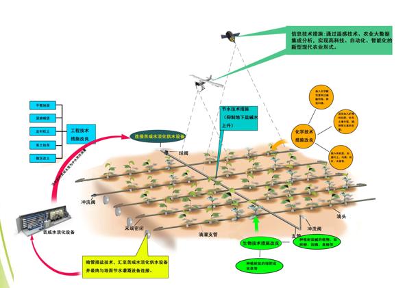 日光温室番茄无土栽培结果期,智慧温室番茄种植技术