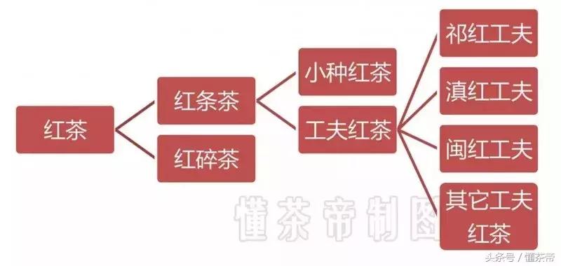 正山小种红茶特细,九曲红梅茶祁门红茶正山小种