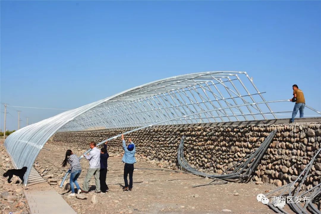 荒滩变成花海乡村富了百姓笑了,荒滩变成基本农田