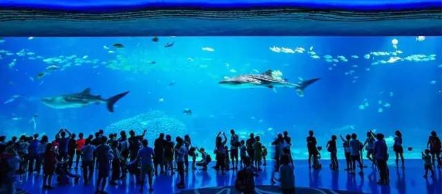 马戏酒店珠海长隆杂技房图片,珠海长隆杂技酒店