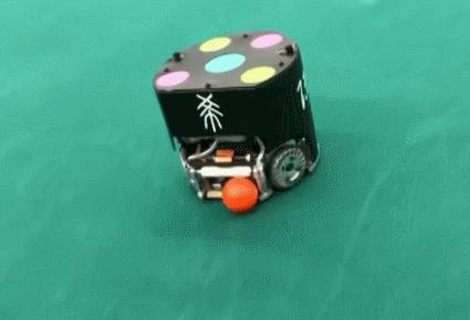 这届世界杯被梅西圈粉,中国足球夺得世界杯场面