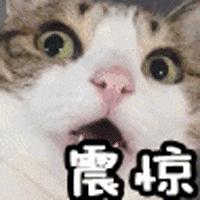 杨超越吴宣仪同框超靓丽,杨超越吴宣仪穿粉红衣服