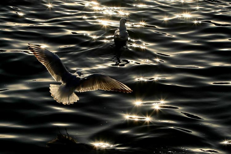 怎么拍摄快速运动物体,运动物体怎么拍摄视频