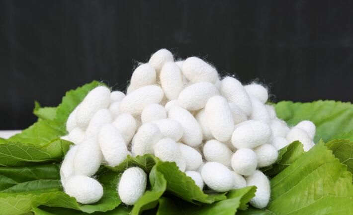 真丝服装面料都是用桑蚕丝做的吗,如何区分真丝服饰