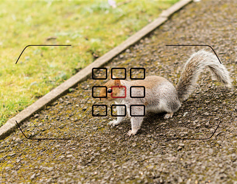 自动对焦到底是什么意思,投影仪怎么自动对焦