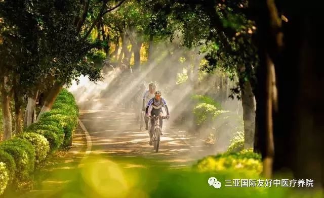 悦生活养有道清调养护套装,悦生活养有道享健康