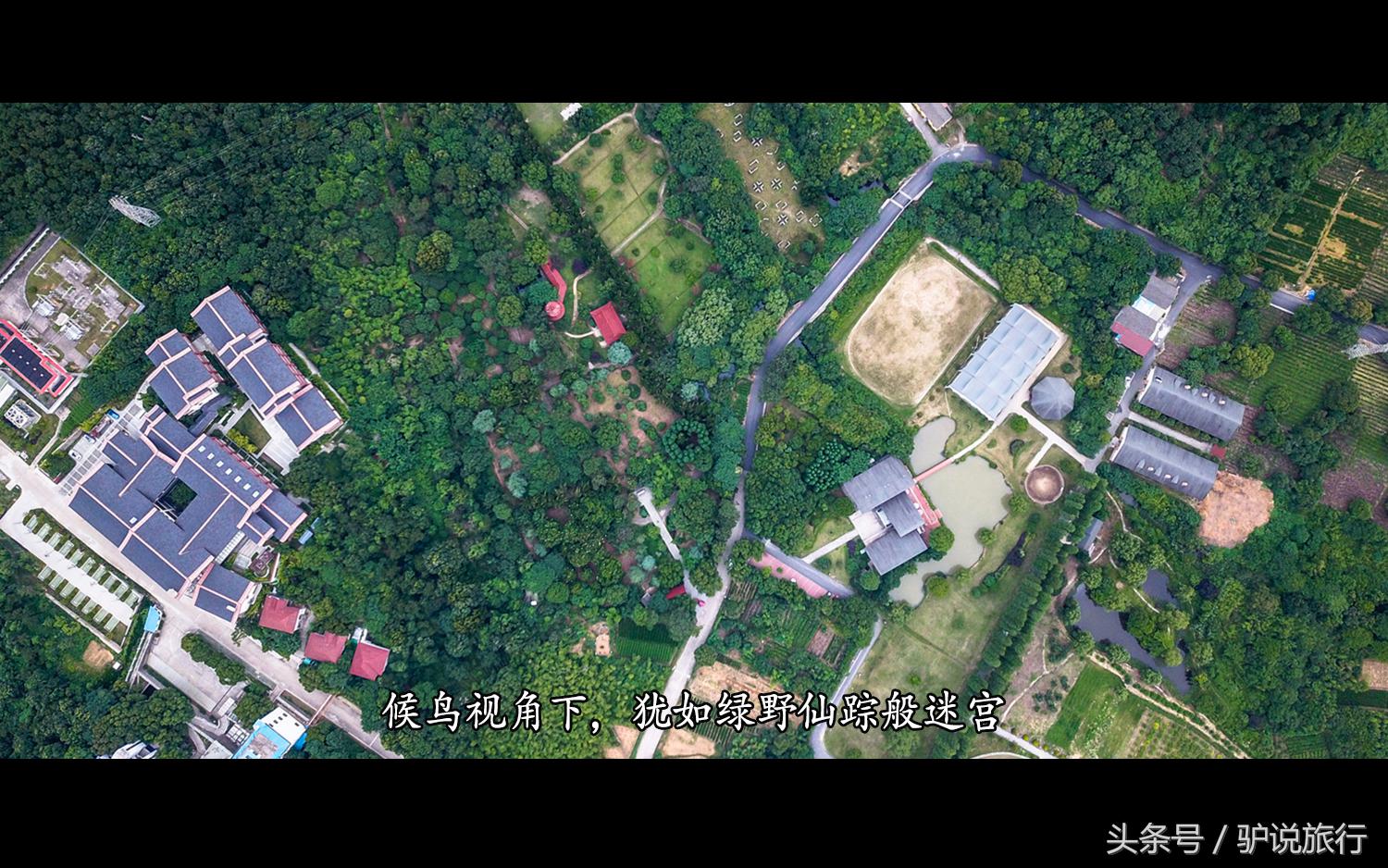 王家卫浙江舟山,王家卫来过浙江台州吗