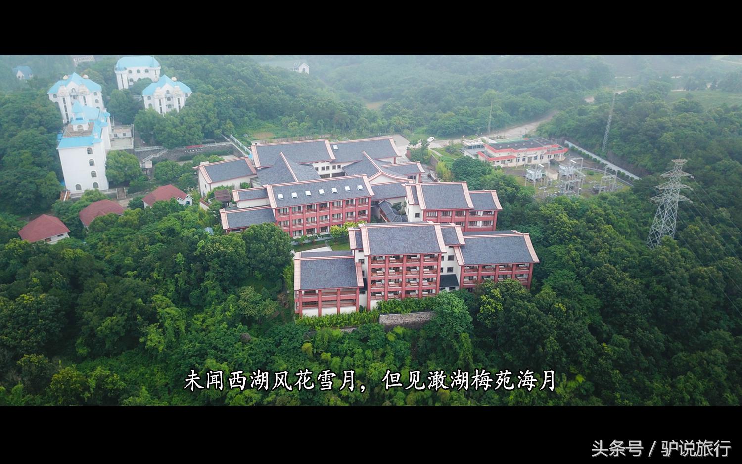 王家卫浙江舟山,王家卫来过浙江台州吗