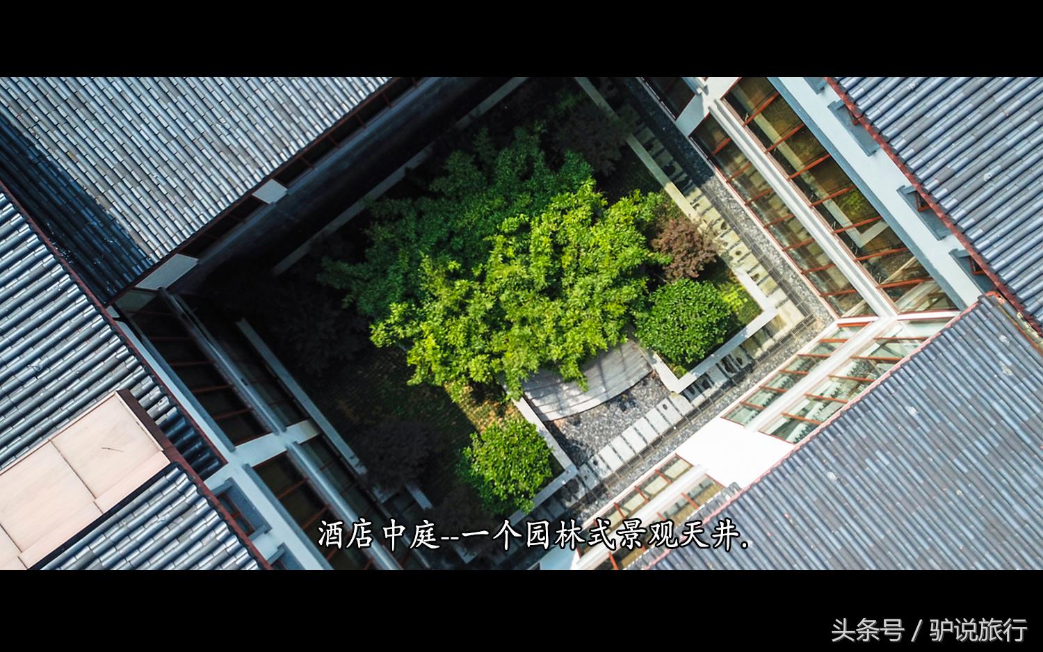 王家卫浙江舟山,王家卫来过浙江台州吗