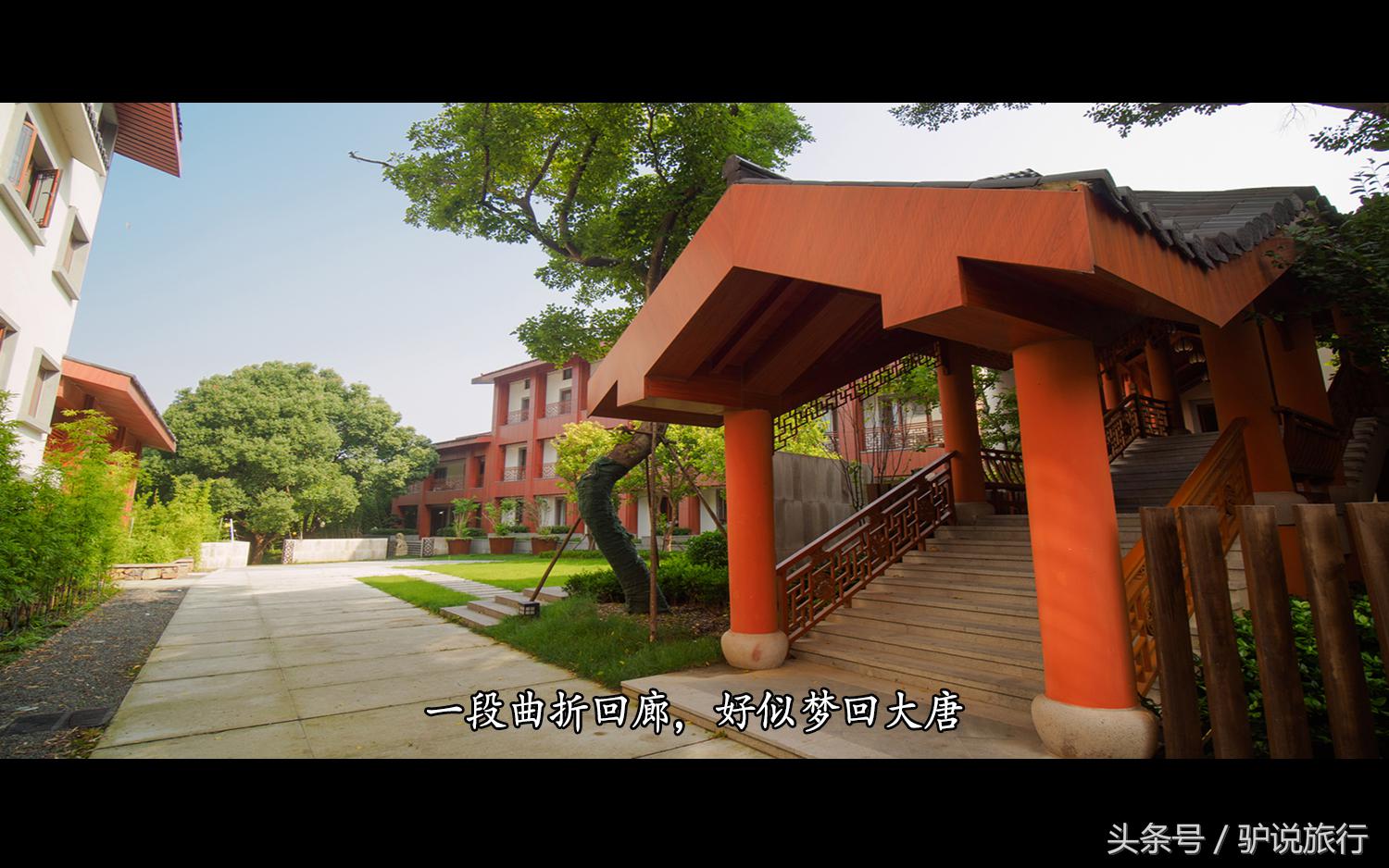 王家卫浙江舟山,王家卫来过浙江台州吗